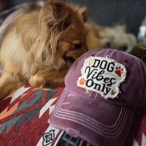 Dog Vibes Only Casual  Hat
